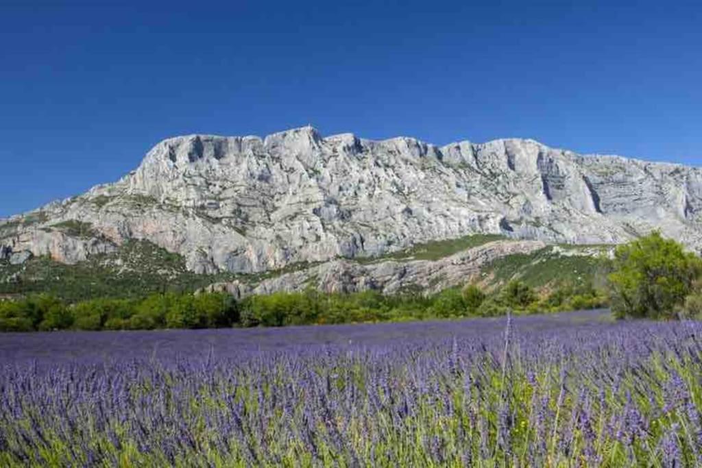 Le Cardinale - Un Voyage En Provence - 2 Chambres Avec Parking Екс ан Прованс Екстериор снимка